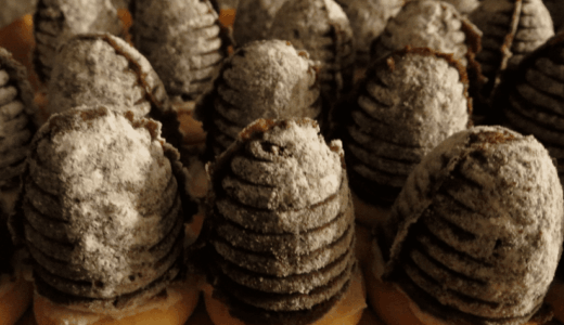 ořechová vosí hnízda