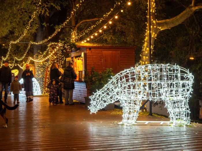 Světelní stezka v Brně.